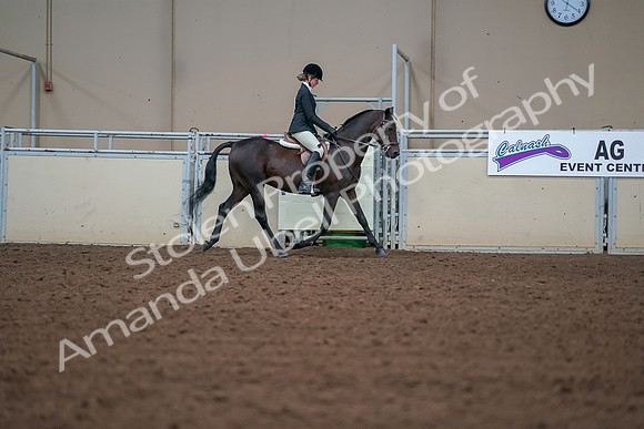 2019 Morgan Horse Show - Aug 30, 2019 - 20804
