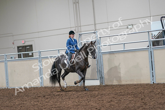 2020 - AB Morgan Horse - Sat, Sept 05 - 05068