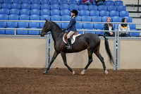 2020 - AB Morgan Horse - Sat, Sept 05 - 10605