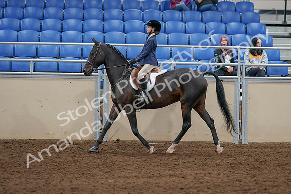 2020 - AB Morgan Horse - Sat, Sept 05 - 10605