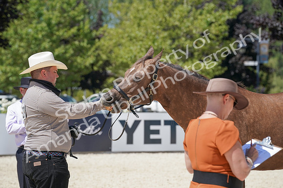 2024 - WCB - July 20 05300_1