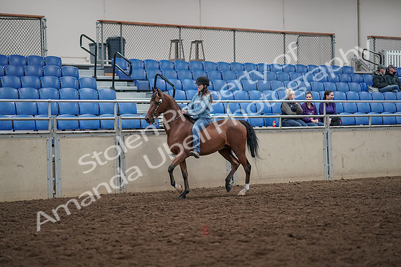 2019 Morgan Horse Show - Aug 30, 2019 - 31087