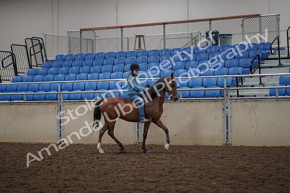 2019 Morgan Horse Show - Aug 30, 2019 - 31334