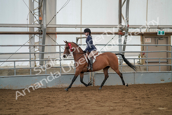 July 20, 2019 - 03504