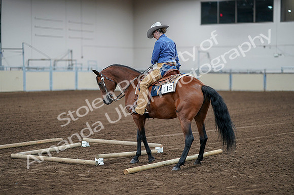 2020 - AB Morgan Horse - Fri, Sept 04 - 00276