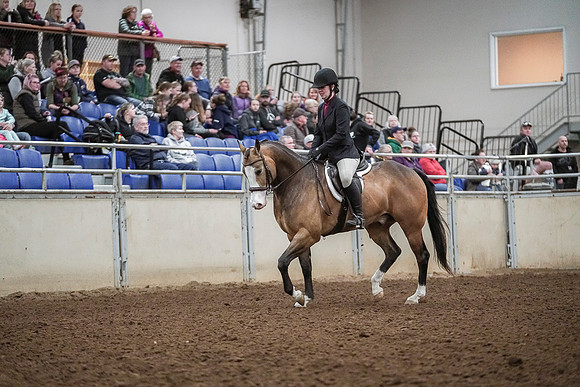 Spring Fling - Saturday - April 20, 2019  -  04542