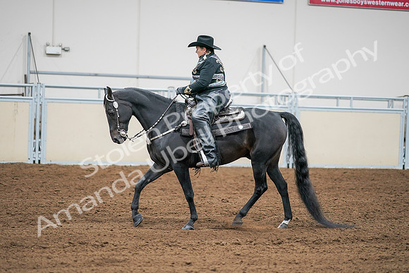 2020 - AB Morgan Horse - Sat, Sept 05 - 08962