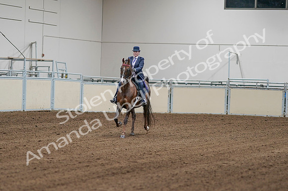 2020 - AB Morgan Horse - Fri, Sept 04 - 08153
