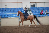 2019 Morgan Horse Show - Aug 31, 2019 - 16899