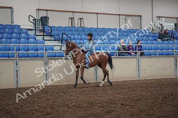 2019 Morgan Horse Show - Aug 30, 2019 - 31084