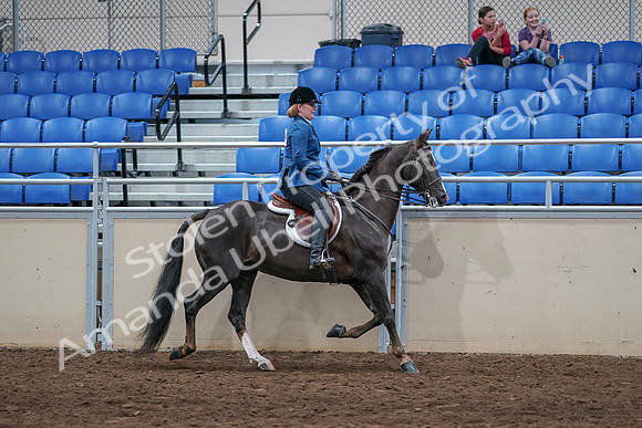 2020 - AB Morgan Horse - Sat, Sept 05 - 05220