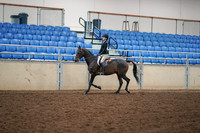 2019 Morgan Horse Show - Aug 30, 2019 - 12134