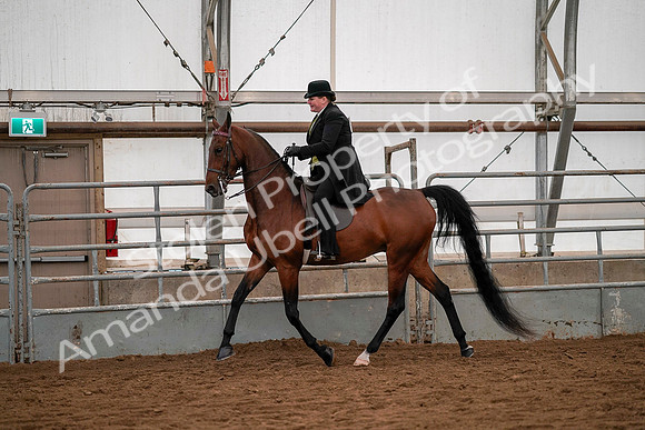 July 19, 2019 - 10278