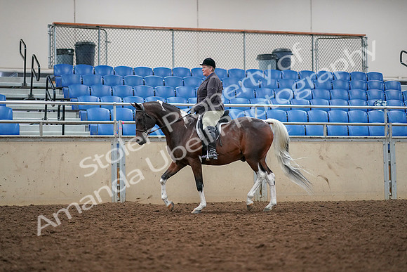 2019 Morgan Horse Show - Aug 30, 2019 - 22227