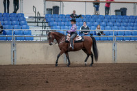 2019 Morgan Horse Show - Sept 01, 2019 - 06761