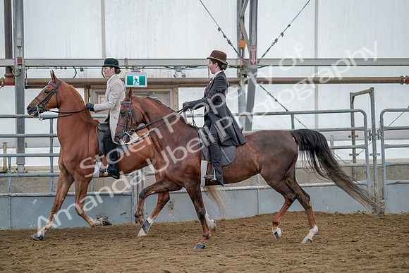 July 20, 2019 - 14590