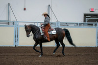 2020 - AB Morgan Horse - Fri, Sept 04 - 00406