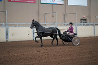 2019 Morgan Horse Show - Sept 01, 2019 - 10374