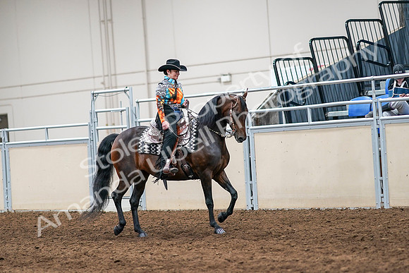 2020 - AB Morgan Horse - Sun, Sept 06 - 07558