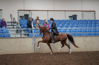 2019 Morgan Horse Show - Aug 30, 2019 - 26492