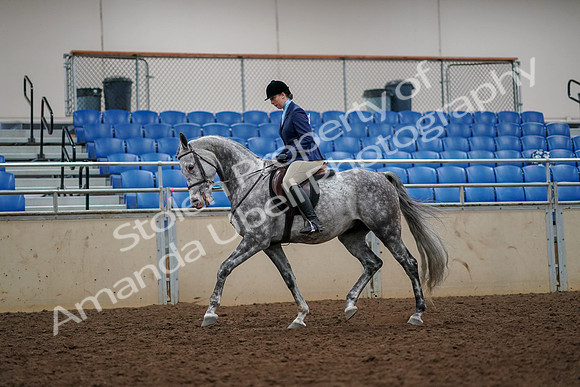 2019 Morgan Horse Show - Aug 30, 2019 - 22267