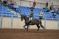 2020 - AB Morgan Horse - Fri, Sept 04 - 10356