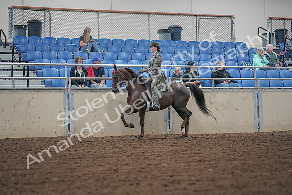 2019 Morgan Horse Show - Aug 30, 2019 - 15507