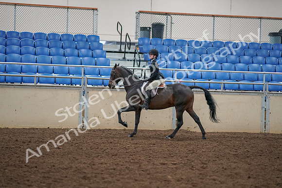 2019 Morgan Horse Show - Aug 30, 2019 - 12308