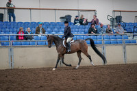 2019 Morgan Horse Show - Aug 31, 2019 - 15849