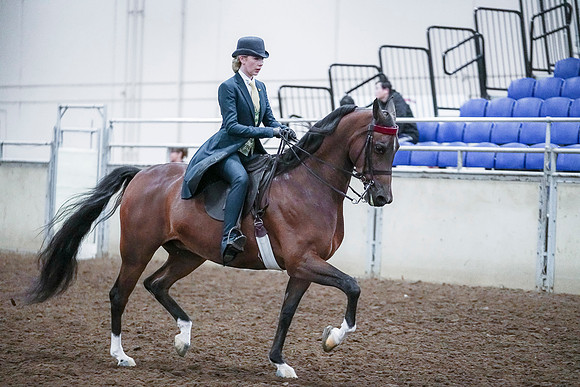 Spring Fling - Saturday - April 20, 2019  -  00820