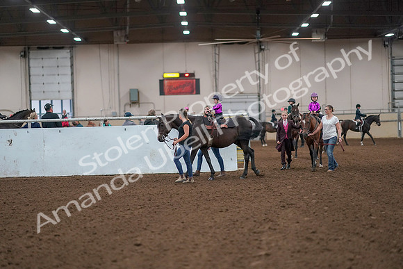 2019 Morgan Horse Show - Aug 31, 2019 - 18876