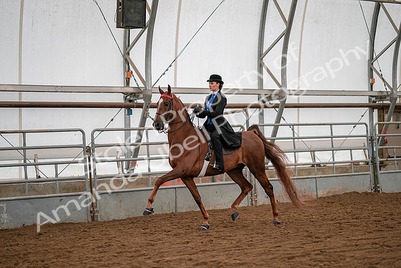 July 19, 2019 - 10582