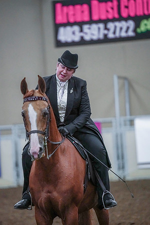 Spring Fling - Saturday - April 20, 2019  -  00862