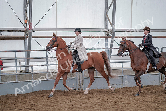 July 20, 2019 - 14584
