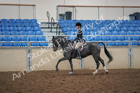 2019 Morgan Horse Show - Aug 30, 2019 - 23425