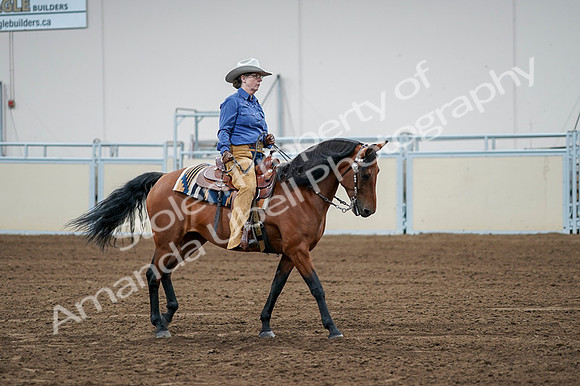 2020 - AB Morgan Horse - Fri, Sept 04 - 00244