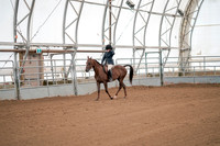 Class 052 - All Breed Hunter Pleasure - Junior-Limit Horse