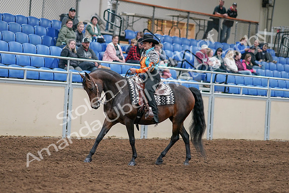 2020 - AB Morgan Horse - Sun, Sept 06 - 07477