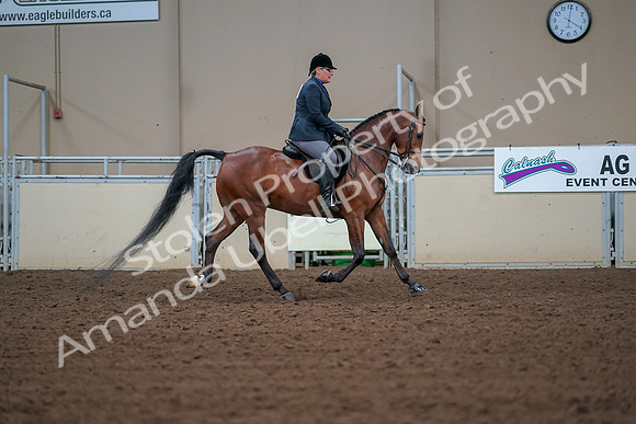 2019 Morgan Horse Show - Aug 30, 2019 - 20738