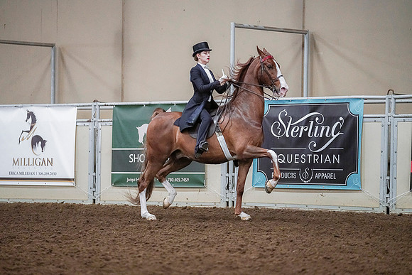 Spring Fling - Saturday - April 20, 2019  -  04225