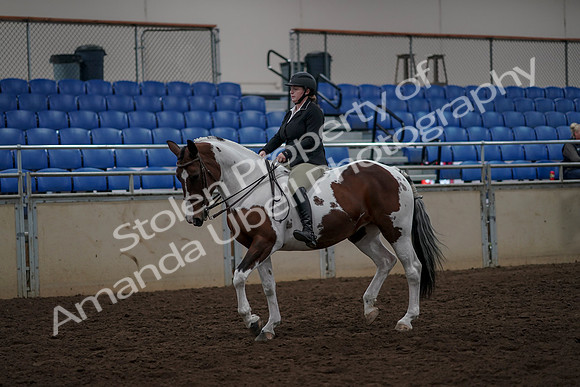 2019 Morgan Horse Show - Aug 30, 2019 - 31112