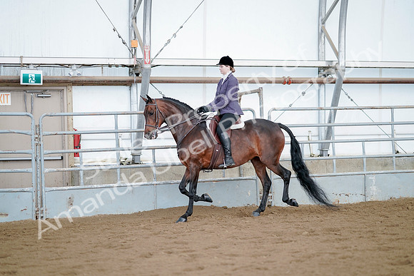 July 21, 2019 - 03106