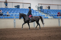 2019 Morgan Horse Show - Sept 01, 2019 - 06232