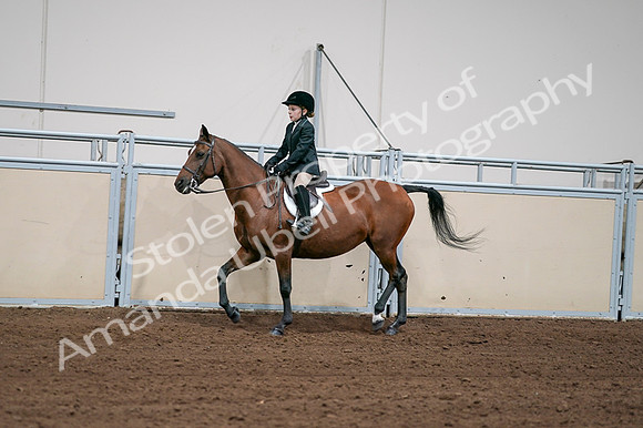 2020 - AB Morgan Horse - Fri, Sept 04 - 02054