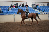 2019 Morgan Horse Show - Aug 31, 2019 - 13772