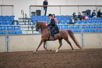 2019 Morgan Horse Show - Aug 31, 2019 - 12177