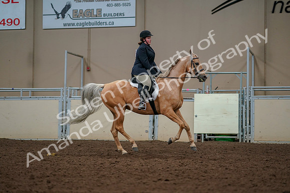 2019 Morgan Horse Show - Aug 30, 2019 - 22566