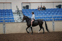 2019 Morgan Horse Show - Aug 30, 2019 - 31037