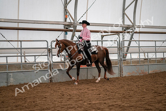 July 19, 2019 - 9949