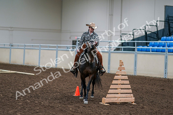2020 - AB Morgan Horse - Fri, Sept 04 - 00382